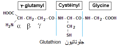 Glutathione