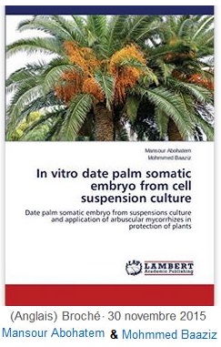 book date palm