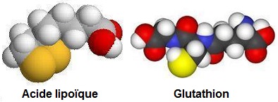 antioxydants