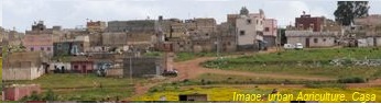 Agriculture urbaine