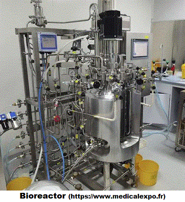 bioreactor
