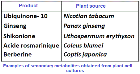 secondary metabolites