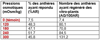 culture in vitro d'anthères