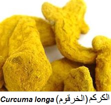 curcuma. Aliments anti-cancer