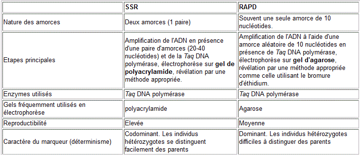 marqueurs comparaison