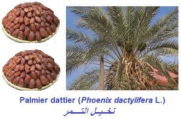 Newsletter.