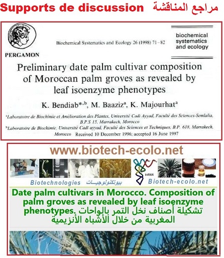 palmier: sources