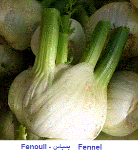 fenouil. régime végétarien