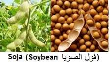soja