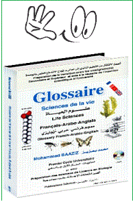 Glossaire