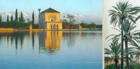 marrakech. Annonces en biotechnologies بيوتكنولوجيات