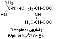 Octopine