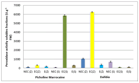 peroxydases solubles