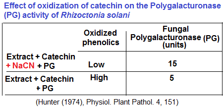Polygalacturonase