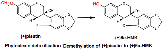 pisatin detoxification