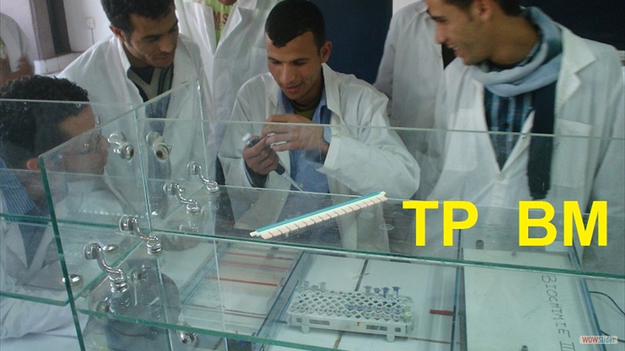 biotechnologies students