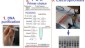 05-RAPD-SSR-PCR-coton