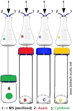tubes